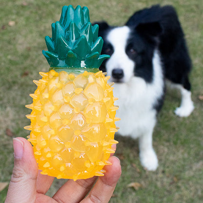 Pet tooth cleaning toy（5 pieces a set）