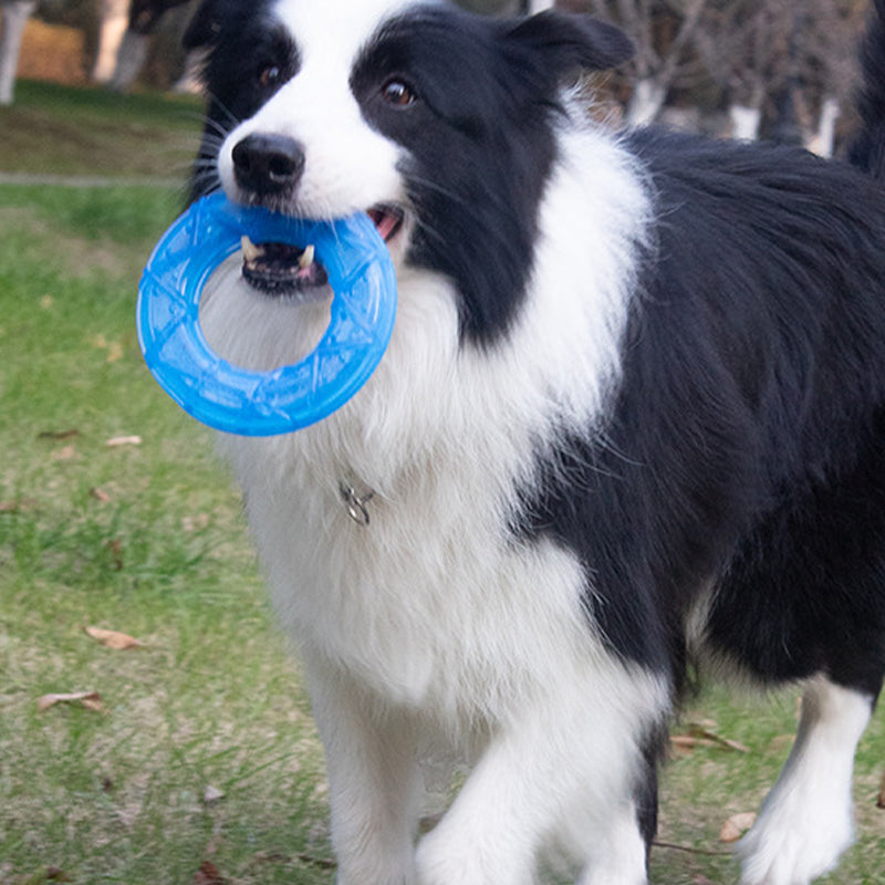 Pet tooth cleaning toy（5 pieces a set）