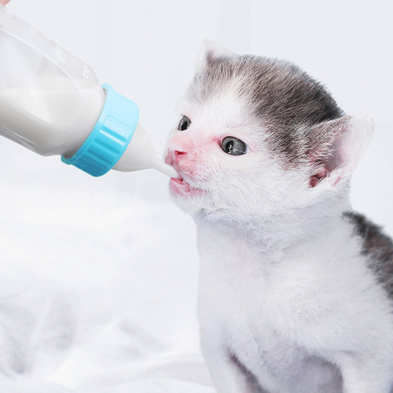 Baby bottle for pet