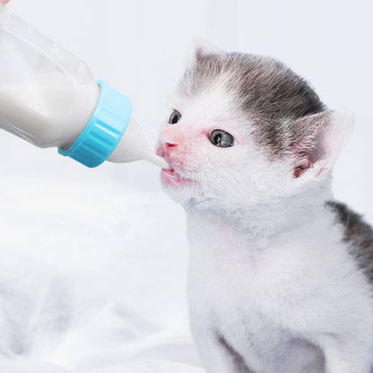 Baby bottle for pet