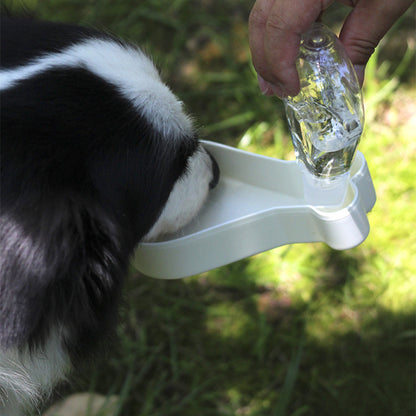 Dog bowl