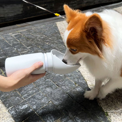 dog outdoor water cup