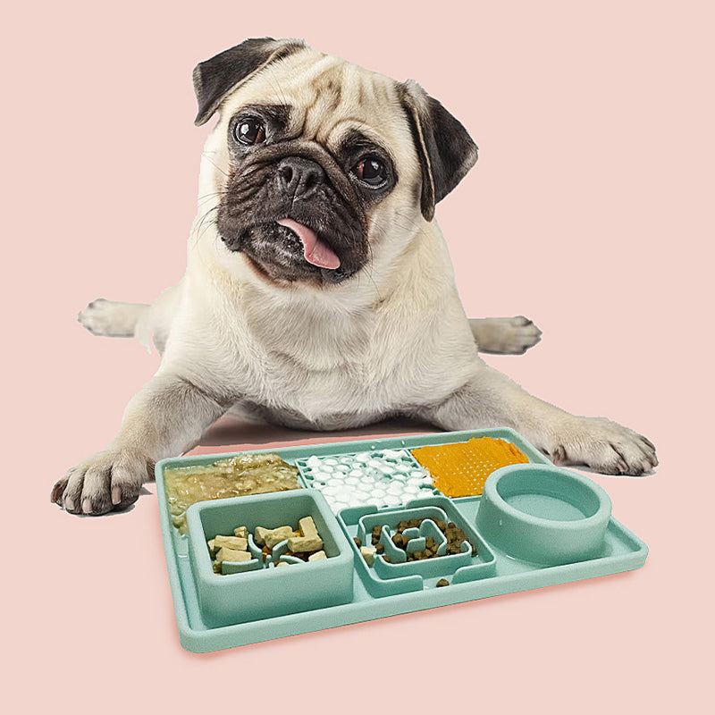 Pet plate