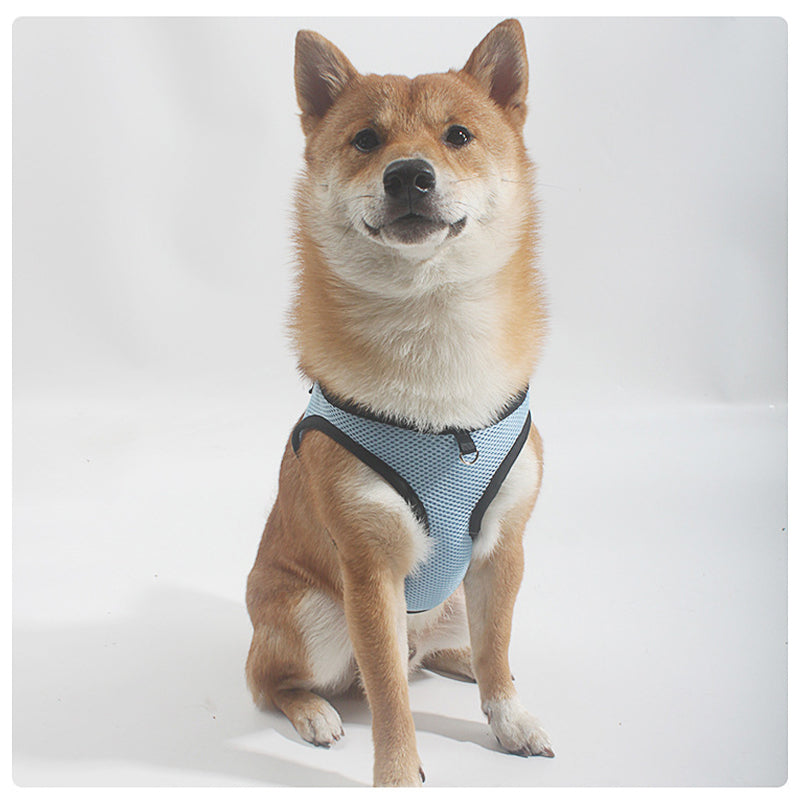 Pet traction vest