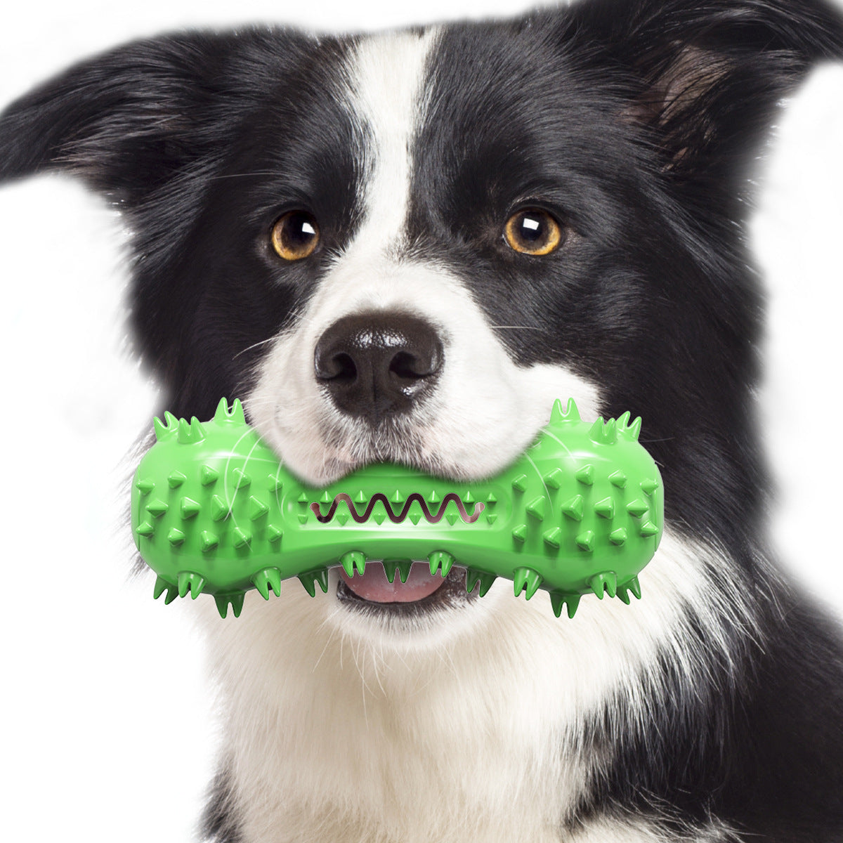 Tooth cleaning toys for pets