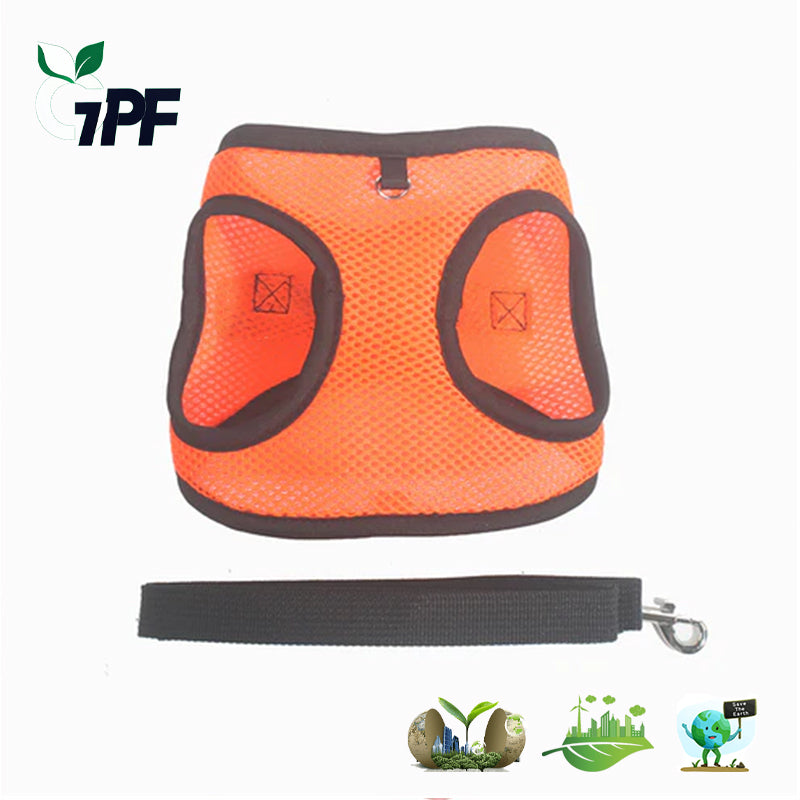 Pet traction vest