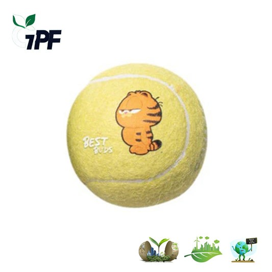 Pet toy ball